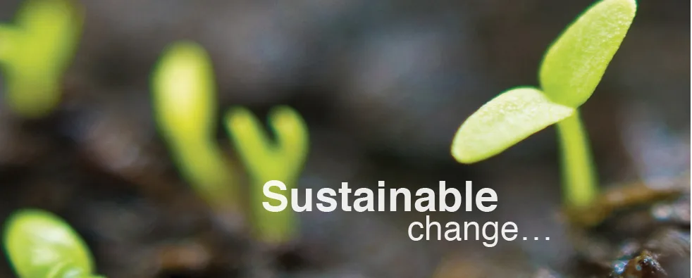 Empowering Uganda’s Most Vulnerable: Heal Now Ministries’ Approach to Sustainable Change